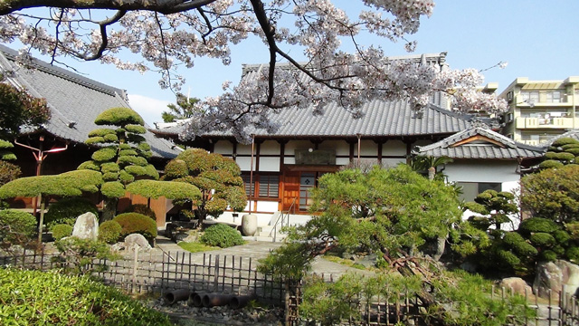 明王寺　寺院　本堂